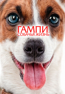 Гампи. Собачья жизнь (2024) смотреть онлайн